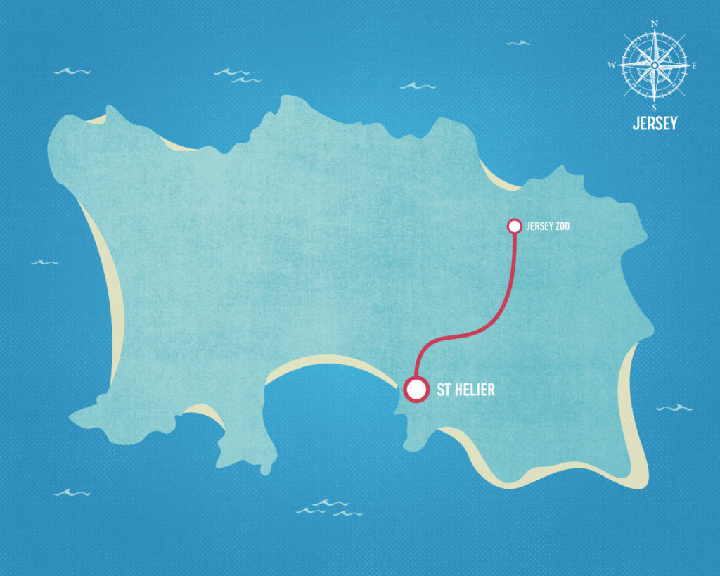 Jersey Zoo Direct Tantivy Blue Coach Tours