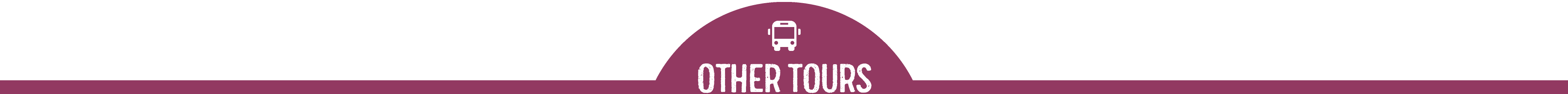 coach tours to jersey